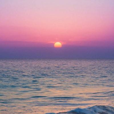 开元ky888网址进入2024入口