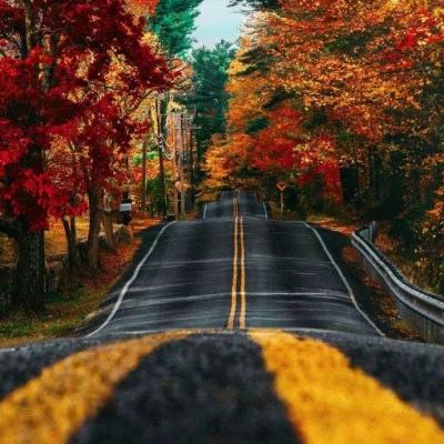 爱体育官方网站手机app下载