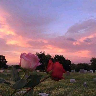 雷火体育APP官网入口