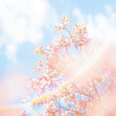 竞彩足球app官网下载