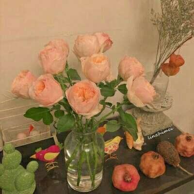 雷火体育APP官网入口