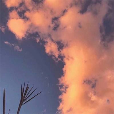 澳门最准最快资料网站下载