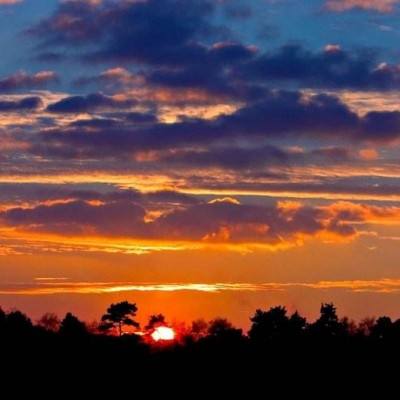 kaiyun体育登录网页入口